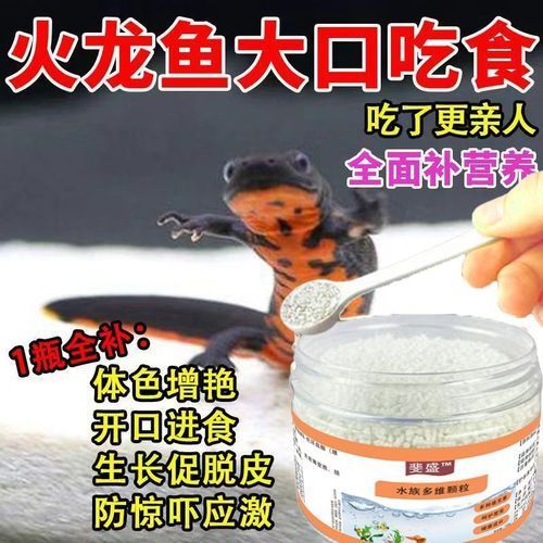 給我推薦一些適合小火龍魚的飼料品牌（小火龍魚的選擇） 給我推薦一些適合小火龍魚的飼料品牌（小火龍魚的選擇） 龍魚百科 第8張