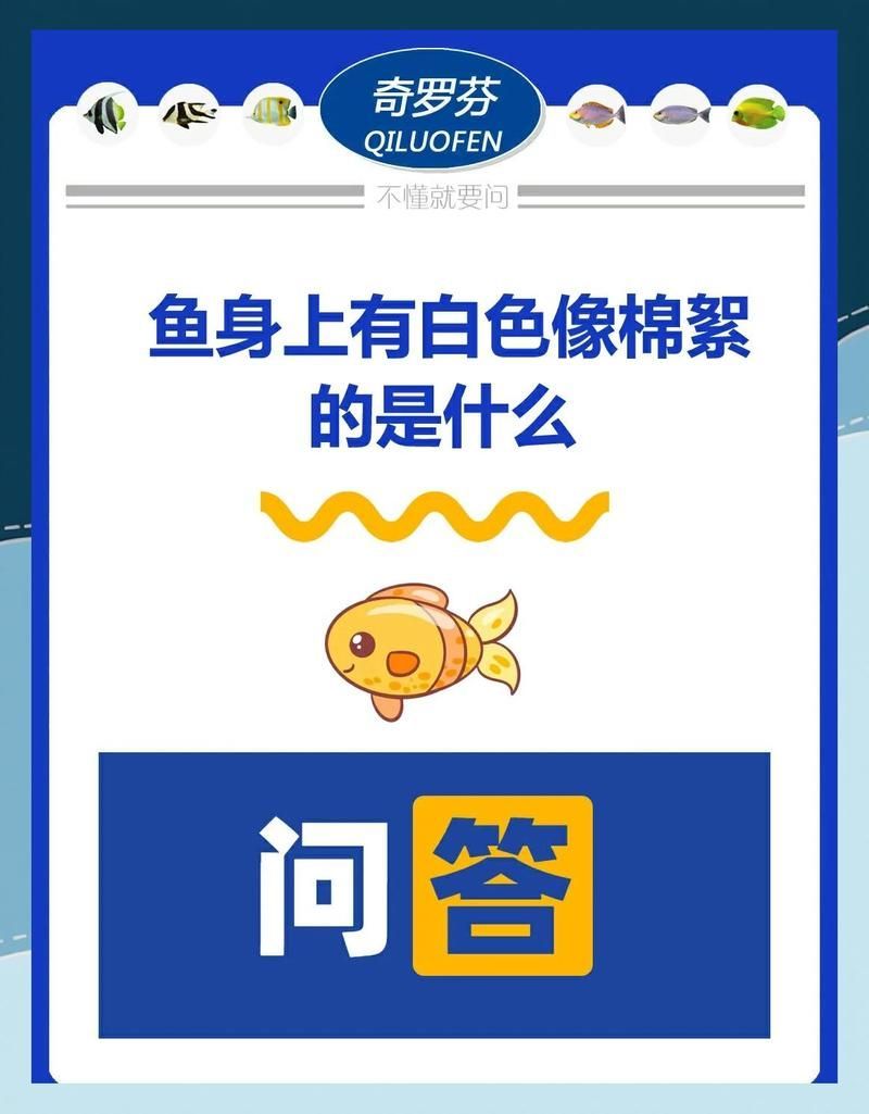 龍魚嘴邊白色絮狀物如何區分病因？（如何判斷龍魚嘴邊白色絮狀物多久能好？）