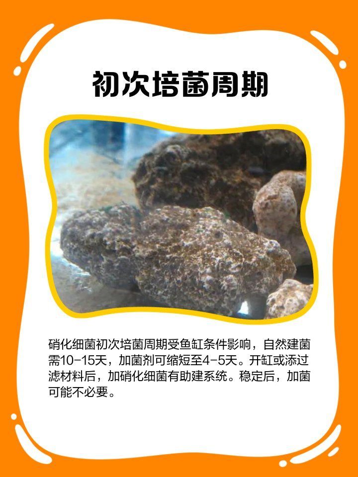 龍魚益生菌的正確使用方法是什么？（用戶要求詳解龍魚益生菌的正確使用方法，需包含1000字說明和配圖）