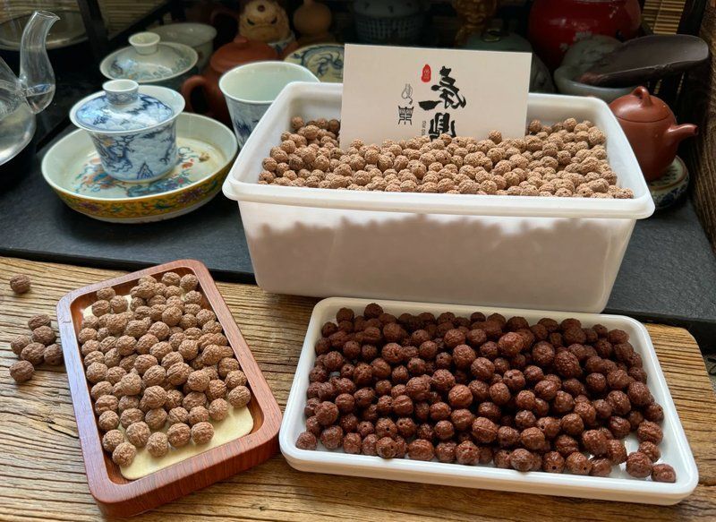 如何判斷龍魚是否來源可靠？（如何判斷龍魚是否來源可靠）