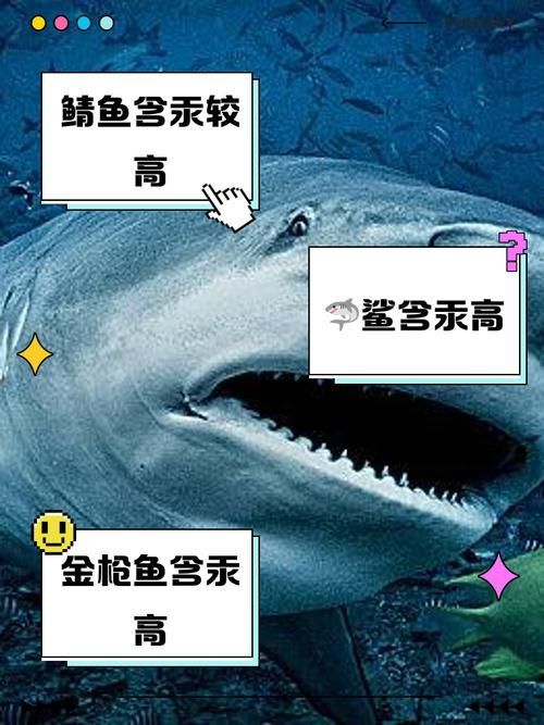 杰西卡恐龍魚的汞含量是多少？（如何判斷杰西卡恐龍魚的汞含量？）