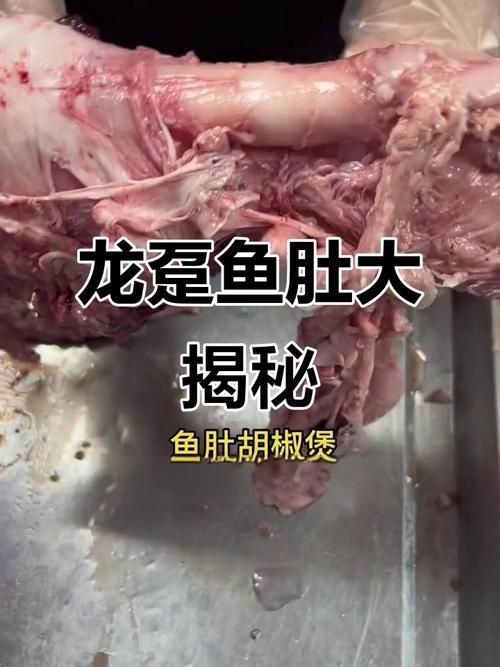 如何判斷龍魚是否吃泥鰍過量？（———科學判斷龍魚是否吃泥鰍過量） 如何判斷龍魚是否吃泥鰍過量？（———科學判斷龍魚是否吃泥鰍過量） 龍魚百科 第3張