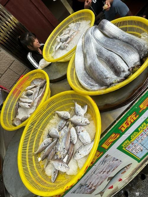 海口龍魚市場在哪里（海口龍魚市場價格如何？）
