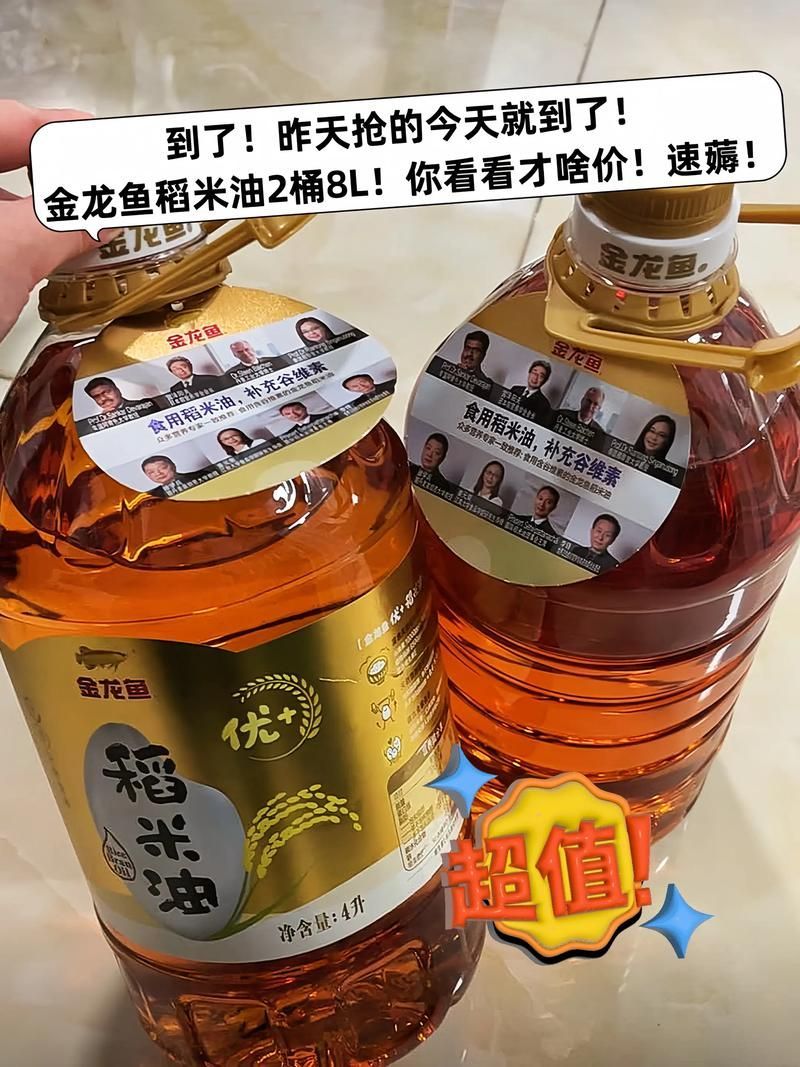 金龍魚夜間覓食的可能性大嗎？（金龍魚的夜間攝食）