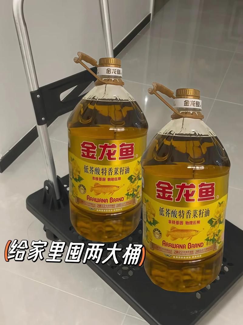 金龍魚夜間覓食的可能性大嗎？（金龍魚的夜間攝食）