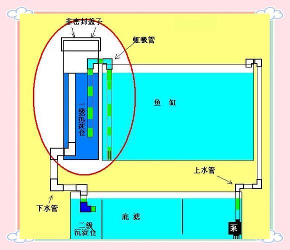 龍魚缸的過濾系統如何設置？（龍魚缸過濾系統規劃） 龍魚缸的過濾系統如何設置？（龍魚缸過濾系統規劃） 龍魚百科 第5張