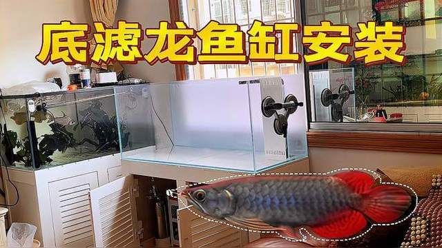 龍魚缸的過濾系統如何設置？（龍魚缸過濾系統規劃） 龍魚缸的過濾系統如何設置？（龍魚缸過濾系統規劃） 龍魚百科 第6張