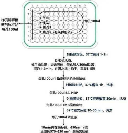 如何檢測龍魚缸的氨氮水平？（如何檢測龍魚缸氨氮水平）