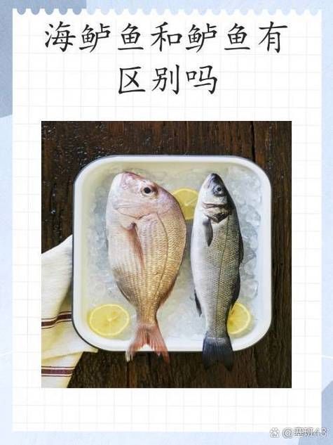 昌黎龍魚有哪些養殖技術？（富媒體組件庫昌黎龍魚養殖技術）