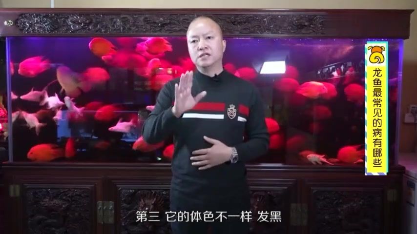 龍魚生病時應該如何判斷癥狀？（龍魚常見病癥對照表，新手必看，）