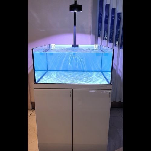 可麗愛魚缸有哪些型號？（可麗愛魚缸哪個型號性價比最高可麗愛魚缸型號對比）