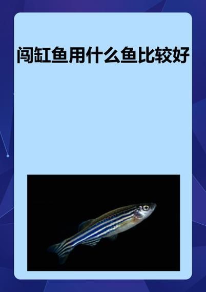 虎斑恐龍魚闖缸法具體怎么做？（關于虎斑恐龍魚闖缸的一些建議） 虎斑恐龍魚闖缸法具體怎么做？（關于虎斑恐龍魚闖缸的一些建議） 龍魚百科 第2張
