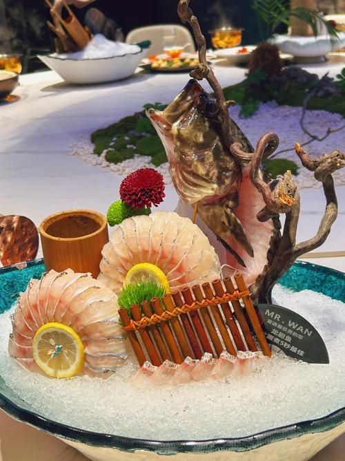 大豐收魚莊的龍魚有哪些特點？（大豐收魚莊的龍魚特點）