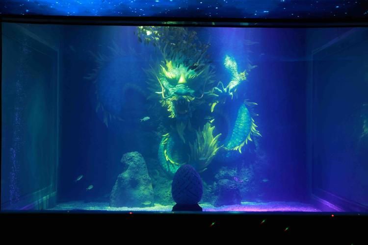 《龍魚奇遇記》劇目有哪些特色？（《龍魚奇遇記》以文化為魂、科技為骨、科技為骨、生態為核）