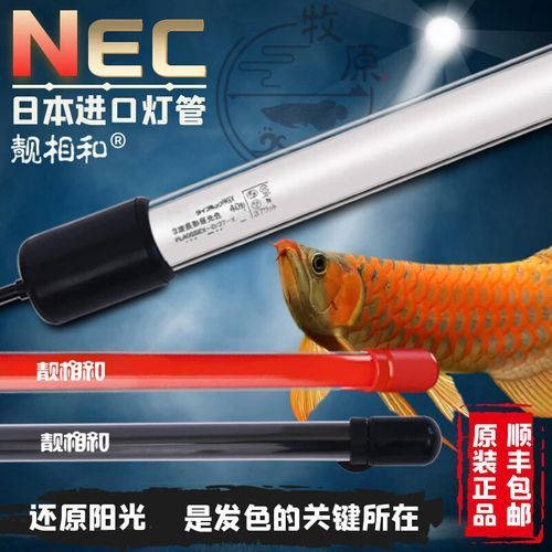 哪個品牌的NEC龍魚燈性價比最高？（nec龍魚燈哪個牌子好？）