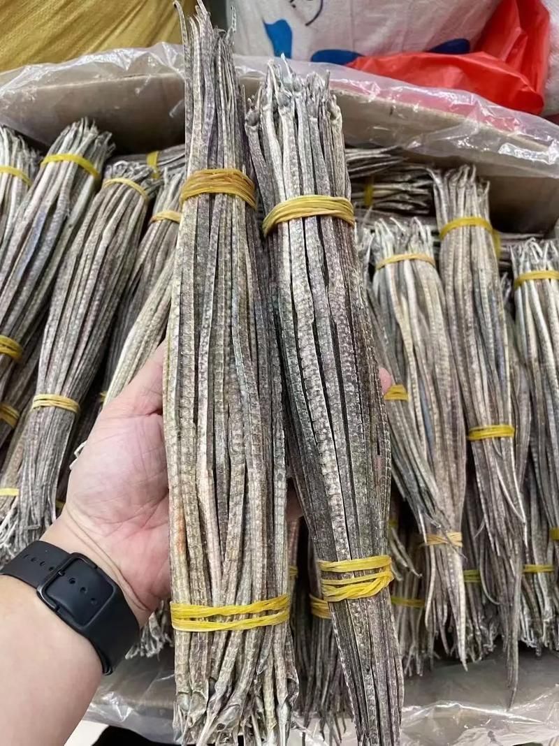 哪些品種的海龍魚受法律保護(hù)？（2021年新版《國家重點(diǎn)保護(hù)野生動(dòng)物名錄》對(duì)海龍魚的保護(hù)政策）