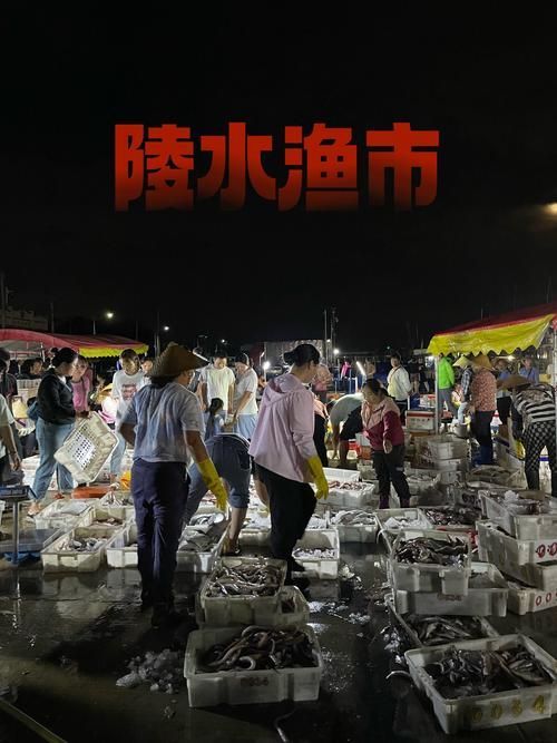 陵水龍魚的價格是多少？（陵水龍魚價格與價格對照表，如何辨別陵水龍魚品質(zhì)）