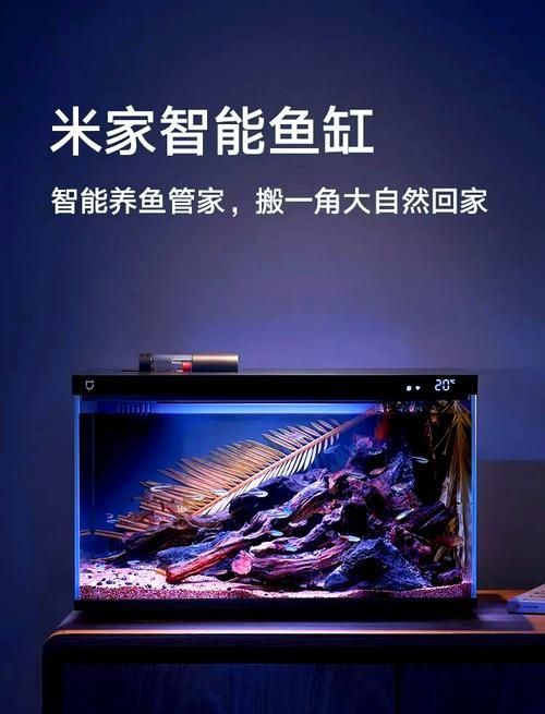 有哪些品牌的LED電子魚缸推薦？（d電子魚缸評價較高的led電子魚缸品牌及型號推薦）