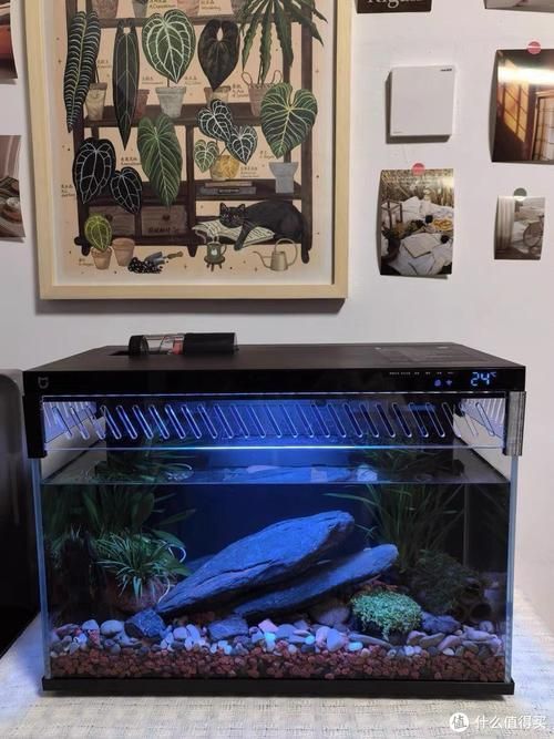 有哪些品牌的LED電子魚缸推薦？（d電子魚缸評價較高的led電子魚缸品牌及型號推薦）