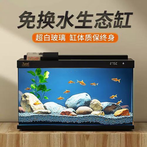 有哪些品牌的LED電子魚缸推薦？（d電子魚缸評價較高的led電子魚缸品牌及型號推薦）