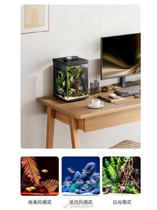有哪些品牌的LED電子魚缸推薦？（d電子魚缸評價較高的led電子魚缸品牌及型號推薦）