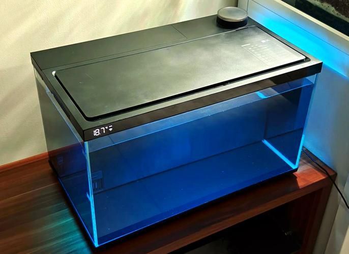 有哪些品牌的LED電子魚缸推薦？（d電子魚缸評價較高的led電子魚缸品牌及型號推薦）