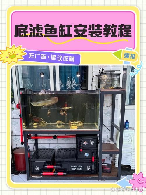 如何改善龍魚趴缸的環境？（改善龍魚趴缸環境的方法）