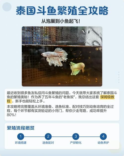 龍魚和泰國鯽的繁殖行為有何不同？（魚和泰國鯽的繁殖行為）
