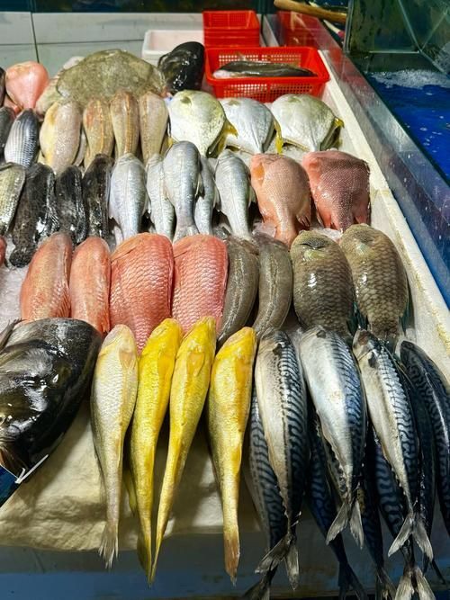 昌平龍魚(yú)的價(jià)格是多少？（“昌平龍魚(yú)”價(jià)格在每公斤200元至500元人民幣之間）