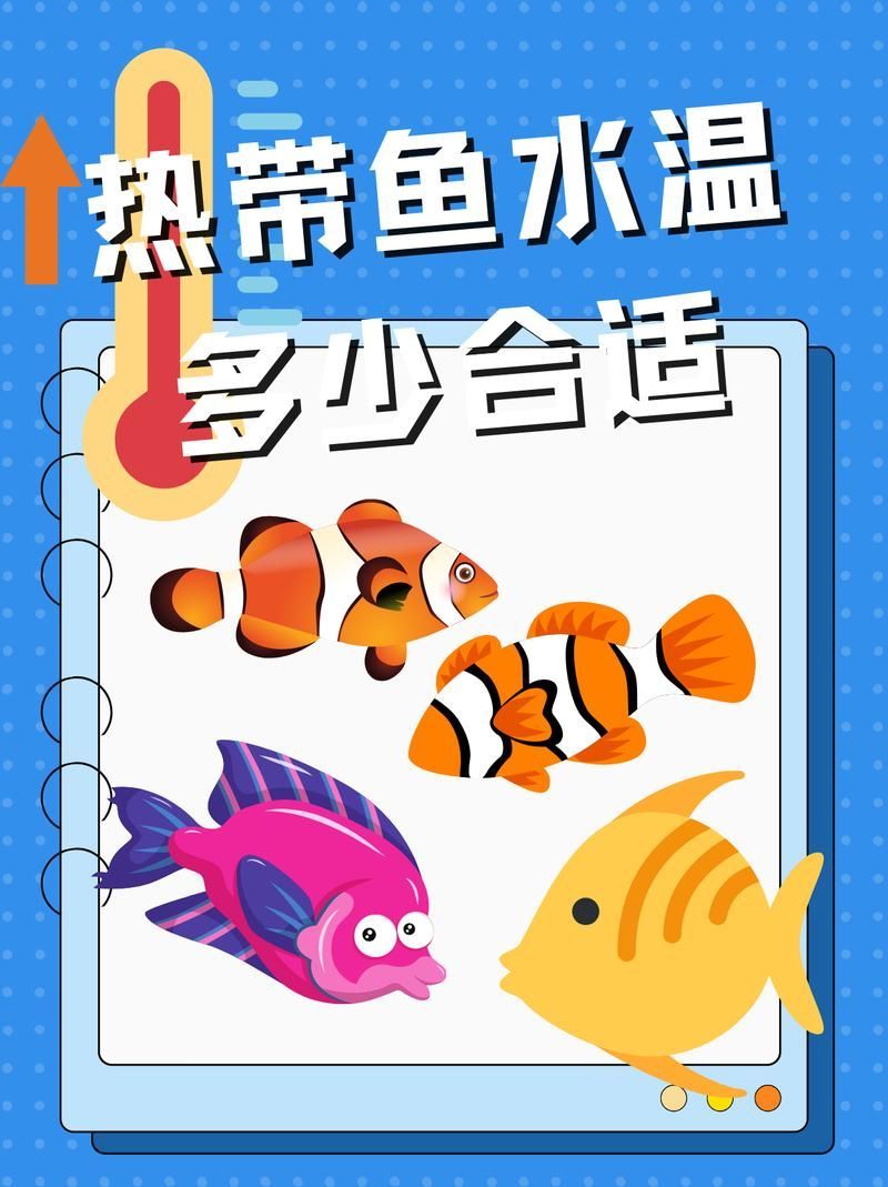 如何判斷魚缸水溫是否適宜？（——科學監測、魚缸水溫是否適宜）