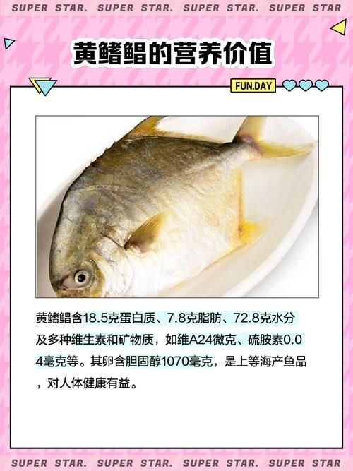 黃鰭鯧和龍魚混養需要多大的魚缸？（黃鰭鯧與龍魚混養）