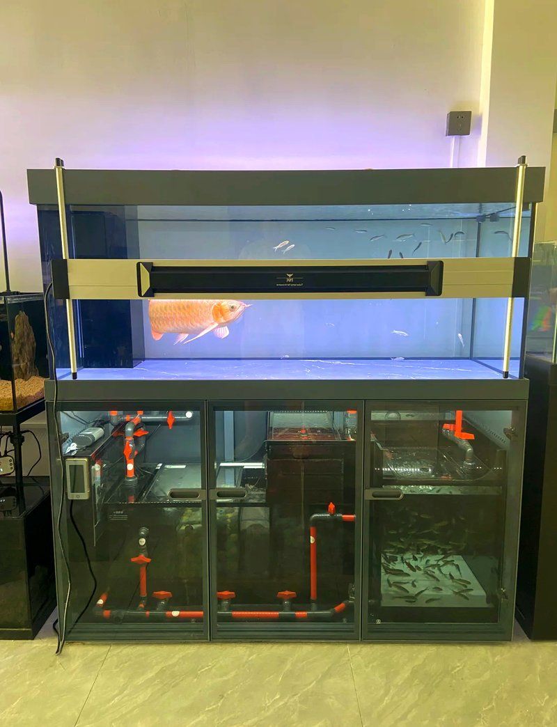 給我推薦幾款性價比高的龍魚魚缸品牌（水族世家龍魚缸選購清單龍魚缸品牌推薦：**）