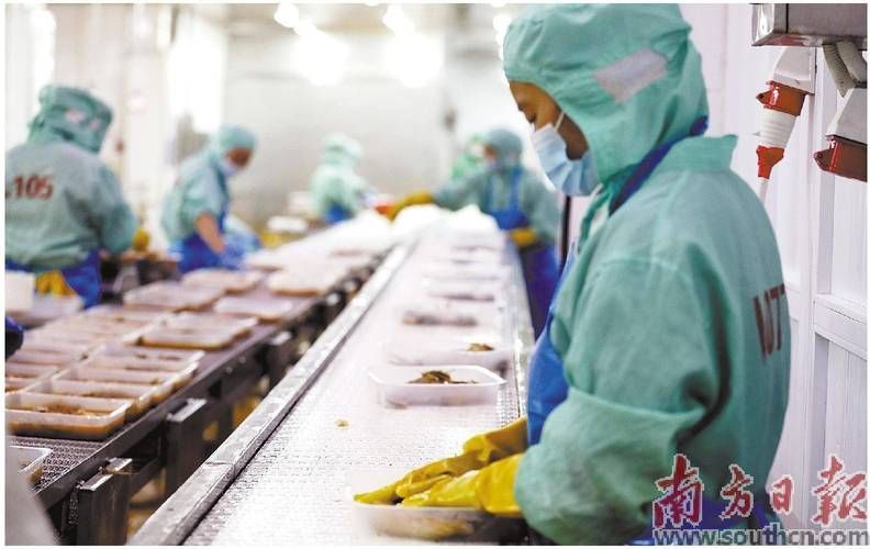 吳川龍魚有哪些主打產(chǎn)品？（吳川烤魚有哪些特色品牌？）