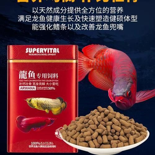 給我推薦一些紅龍魚的其他品牌飼料（紅龍魚飼養技術）