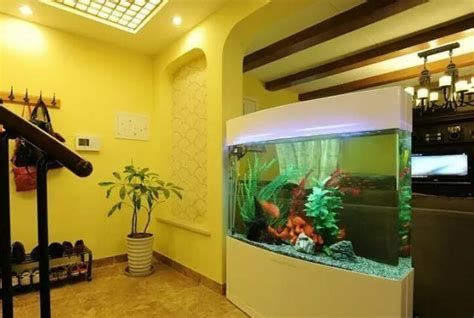 詳解（1000字和配圖）魚之家生態(tài)龍魚缸的定制服務(wù)如何？（魚之家生態(tài)龍魚缸定制） 詳解（1000字和配圖）魚之家生態(tài)龍魚缸的定制服務(wù)如何？（魚之家生態(tài)龍魚缸定制） 龍魚百科 第1張