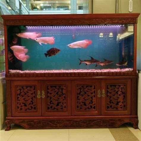 詳解（1000字和配圖）魚之家生態(tài)龍魚缸的定制服務(wù)如何？（魚之家生態(tài)龍魚缸定制） 詳解（1000字和配圖）魚之家生態(tài)龍魚缸的定制服務(wù)如何？（魚之家生態(tài)龍魚缸定制） 龍魚百科 第3張
