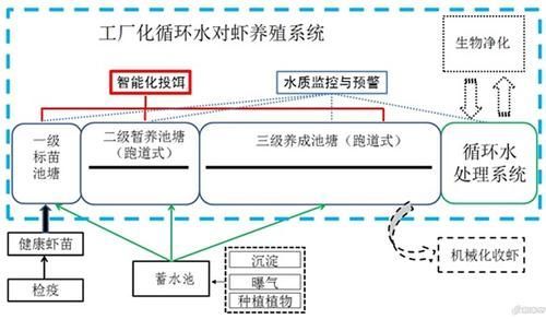 寶坻龍魚養殖需要哪些技術？（寶坻循環水系統養殖技術）
