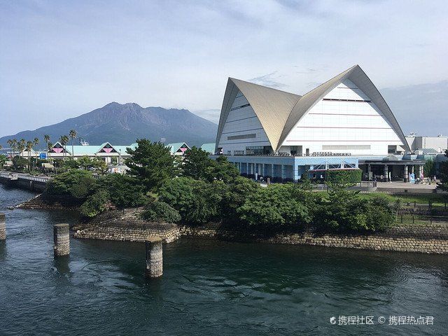 金龍魚和巨骨舌魚的價格差異大嗎？（金龍魚與巨骨舌魚價格差異） 金龍魚和巨骨舌魚的價格差異大嗎？（金龍魚與巨骨舌魚價格差異） 龍魚百科 第3張