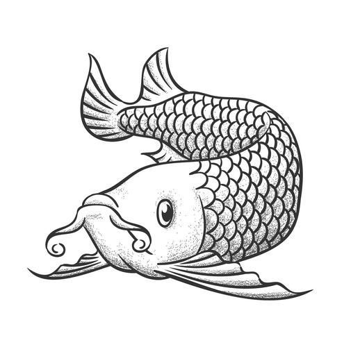 給我一些畫龍魚的參考圖片（如何畫龍魚的須和鰭？）