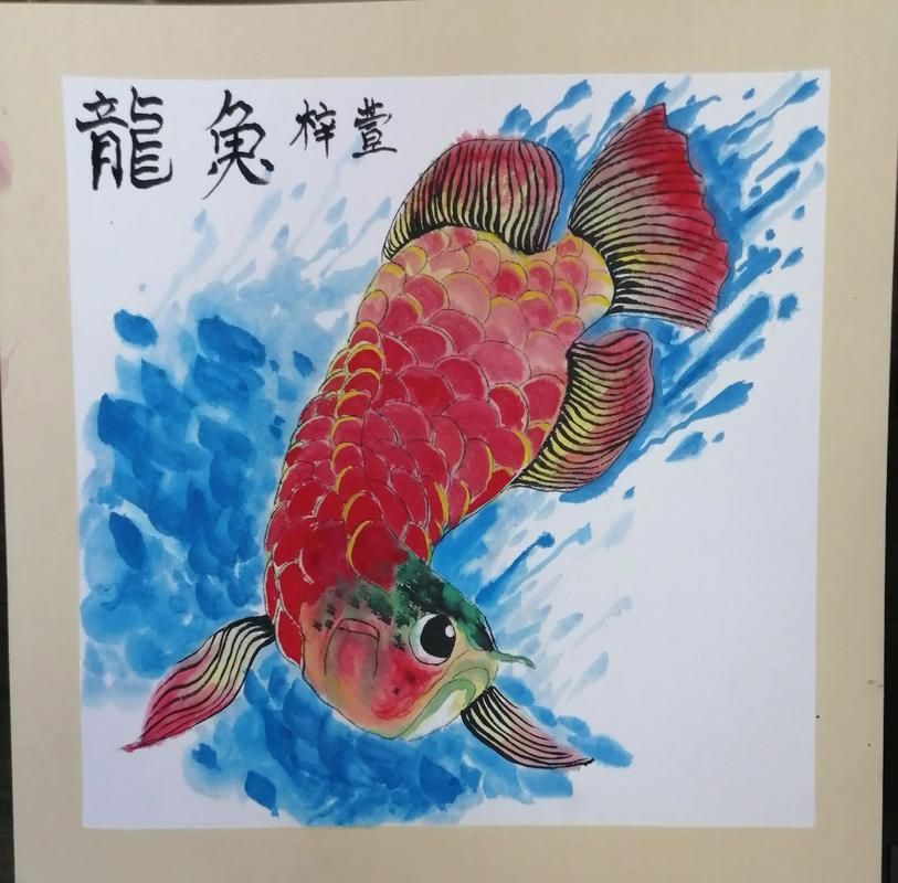 給我一些畫龍魚的參考圖片（如何畫龍魚的須和鰭？）