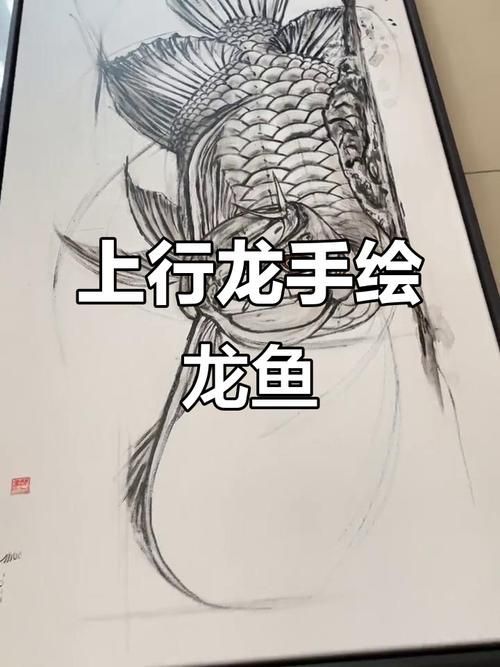 給我一些畫龍魚的參考圖片（如何畫龍魚的須和鰭？）