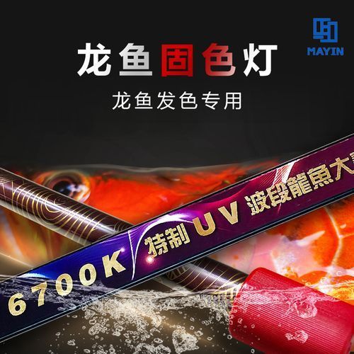 龍魚燈6700K與6500K哪個更適合金龍魚？（金龍魚6700k和6500k燈光使用技巧）