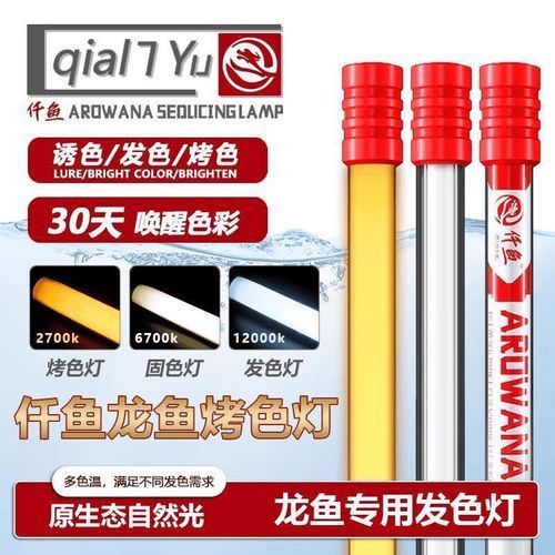 龍魚燈6700K與6500K哪個更適合金龍魚？（金龍魚6700k和6500k燈光使用技巧）