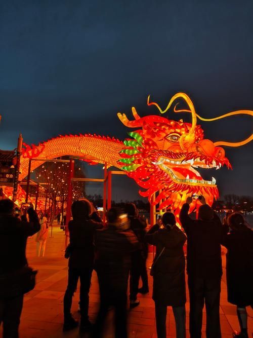 楊浦龍魚節有哪些特色活動？（上海楊浦龍魚節）