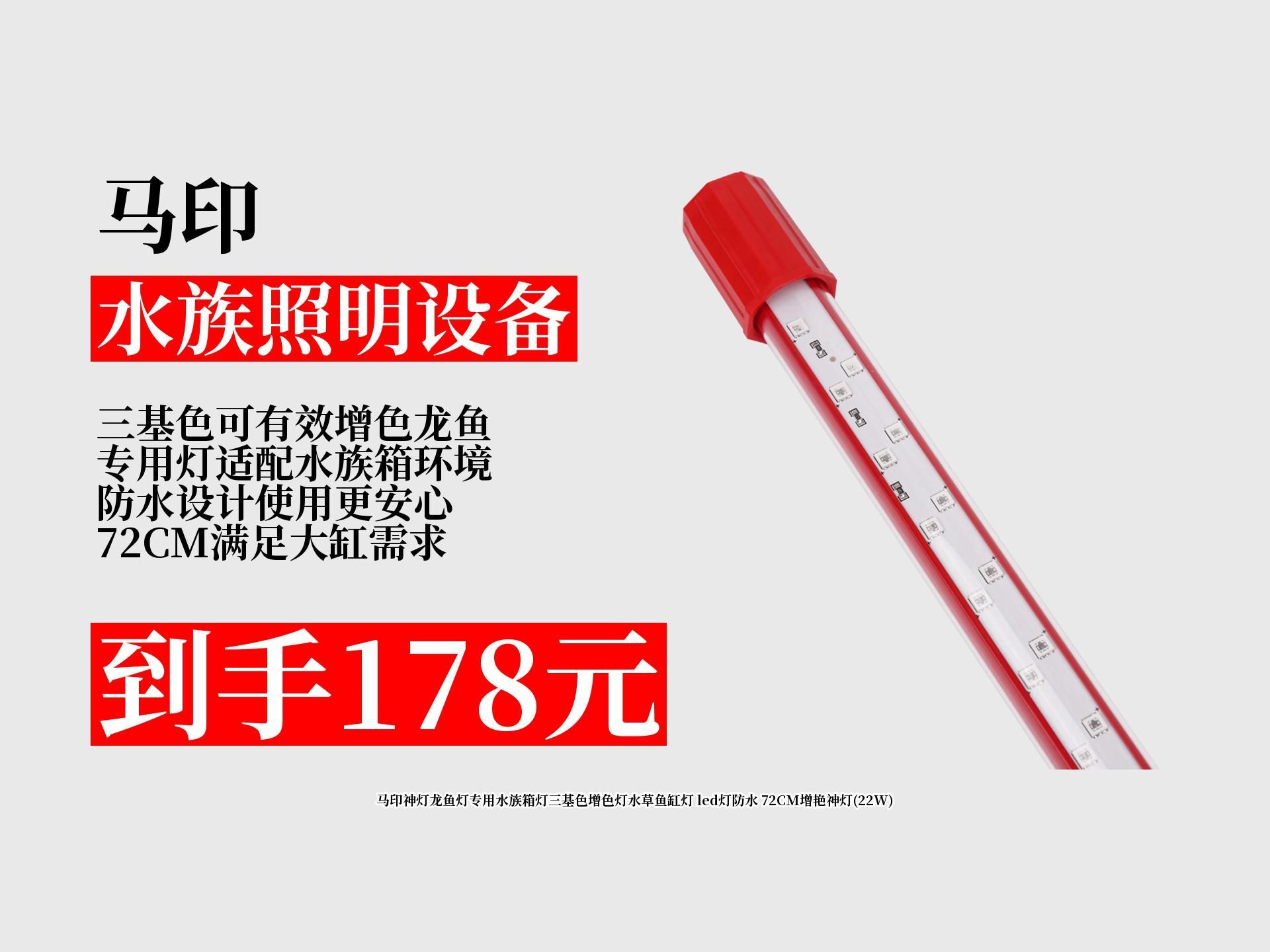 有哪些品牌的龍魚專用燈比較推薦？（龍魚專用燈具選擇）
