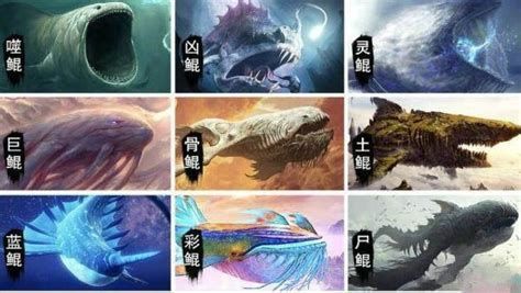 黑鱗龍魚最忌三種藥（關于黑鱗龍魚最忌使用的三種藥物詳細解析（約1000字））