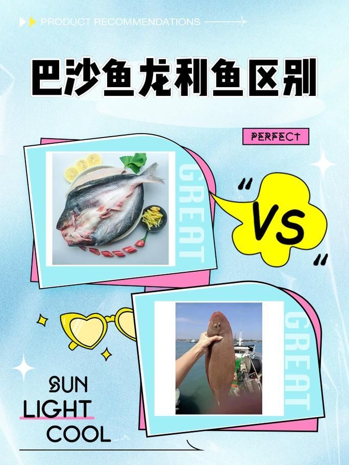 如何判斷沙龍魚是否新鮮（如何判斷沙龍魚新鮮度？）
