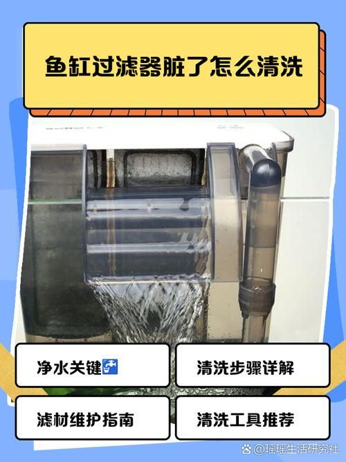 如何預(yù)防龍魚感染這三種疾??？（關(guān)于龍魚三大常見疾病的預(yù)防）