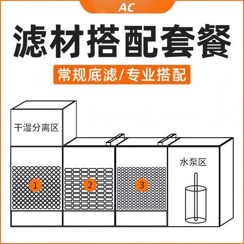 如何預(yù)防龍魚感染這三種疾病？（關(guān)于龍魚三大常見疾病的預(yù)防）