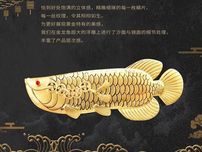 有沒有其他與“鴻福”相關(guān)的龍魚產(chǎn)品？（“鴻福”龍魚產(chǎn)品價格范圍是多少，鴻福龍魚產(chǎn)品選購指南）